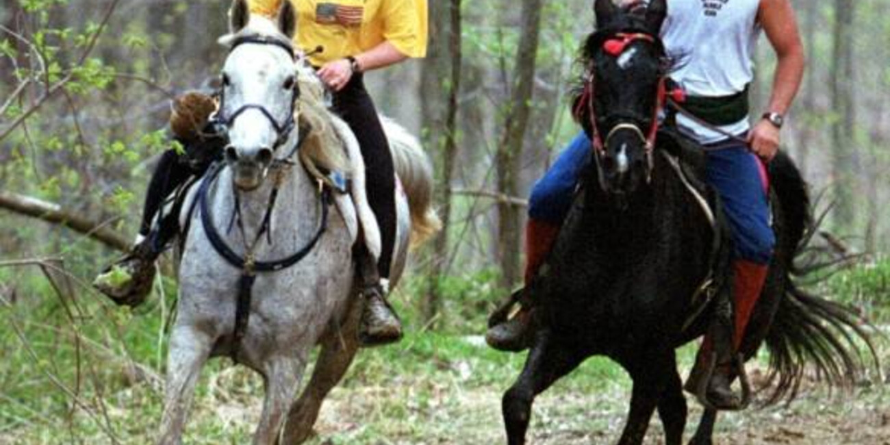 Centro Equituristico Airone Horseback riding   #1