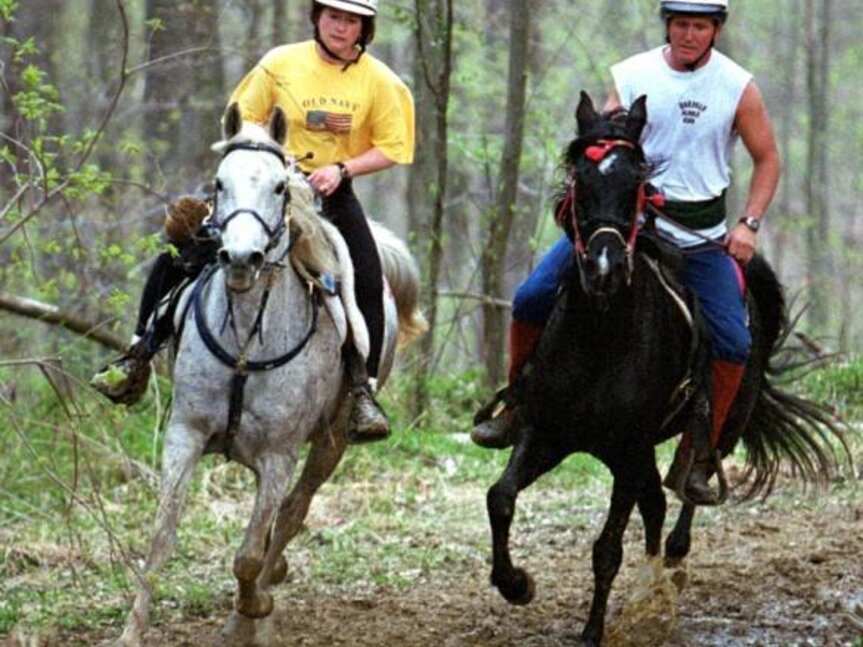 Centro Equituristico Airone Horseback riding  