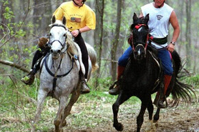 Centro Equituristico Airone Horseback riding  