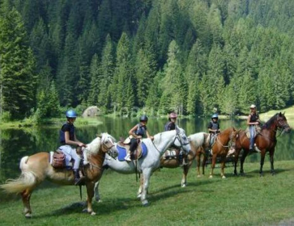 Alpina Val di Sole horse riding centre  