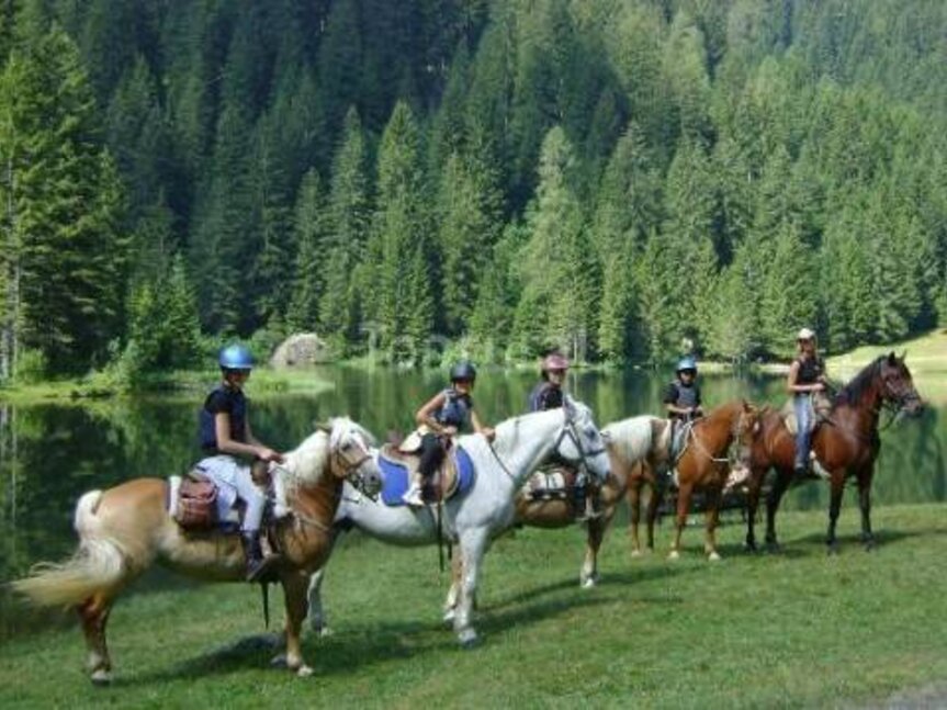 Alpina Val di Sole horse riding centre  