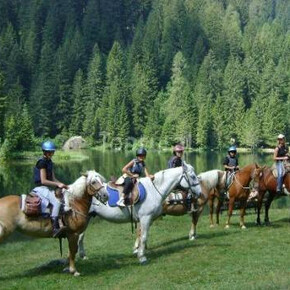 Alpina Val di Sole horse riding centre  