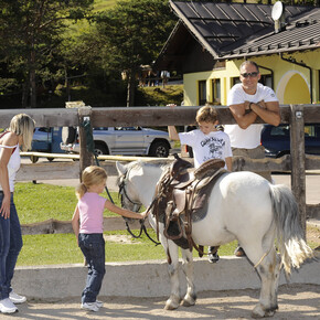 Andalo Riding Centre 