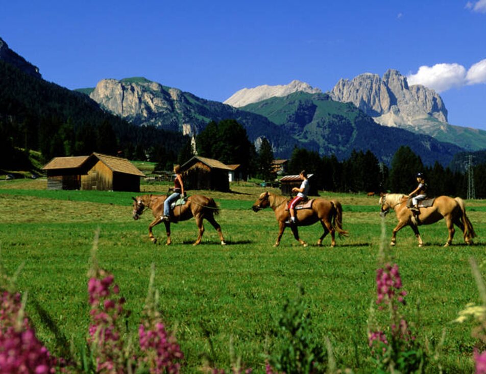 Horse Ranch Highland Cattle Riding Club   