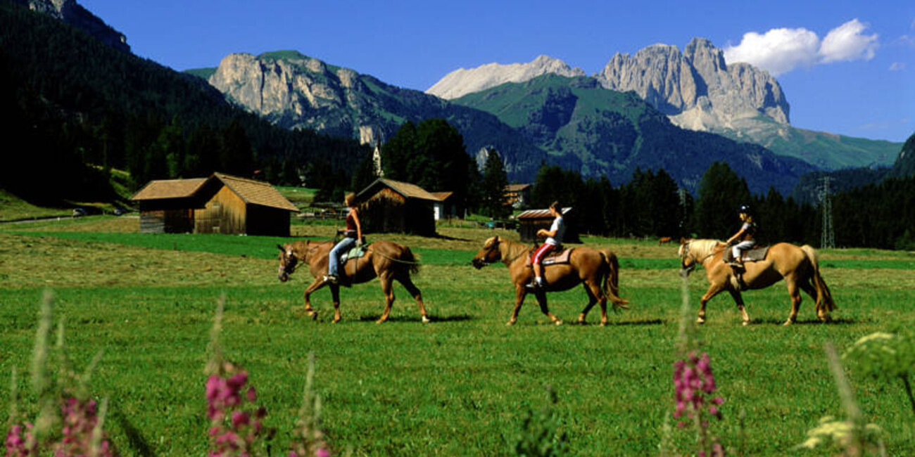 Maneggio Horse Ranch Highland Cattle #1