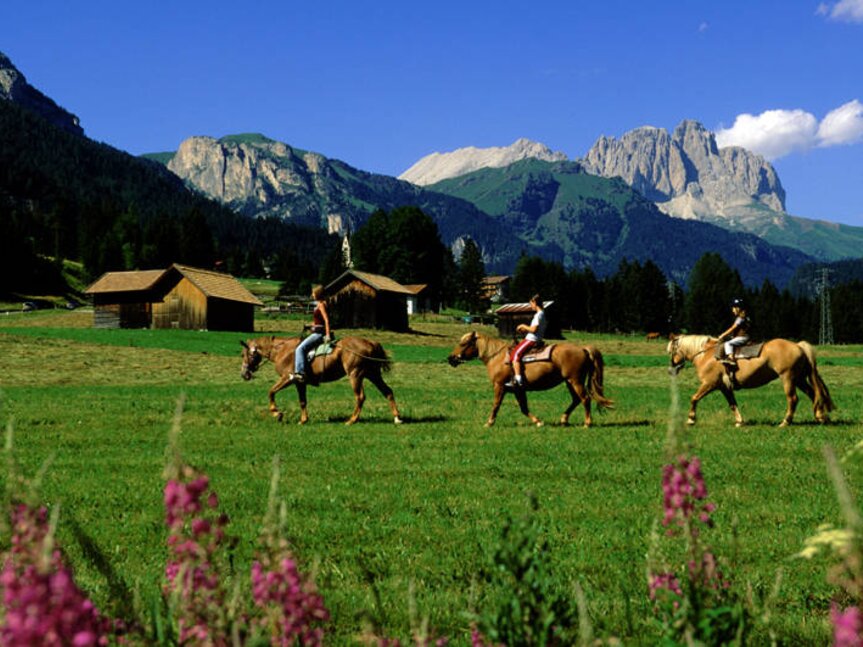 Horse Ranch Highland Cattle Riding Club   
