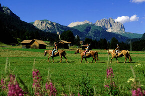 Reiterhof Horse Ranch Highland Cattle  