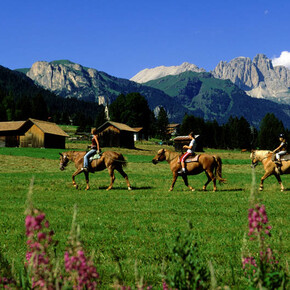 Horse Ranch Highland Cattle Riding Club   