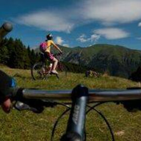 Noleggio MTB Pasi