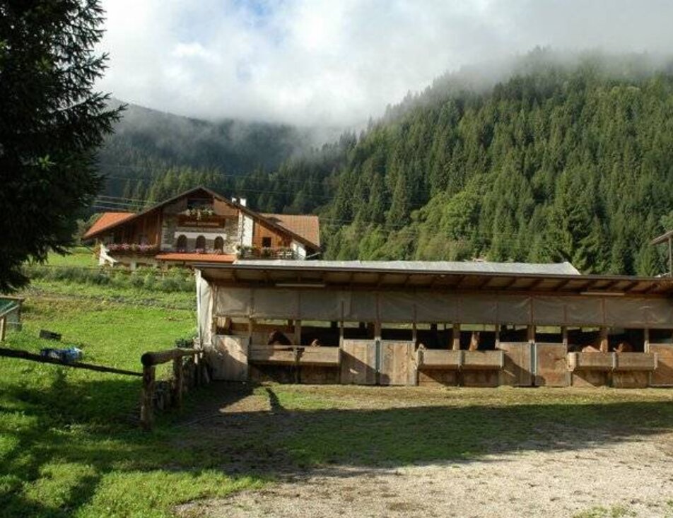 Maso Paradisi Equestrian Centre