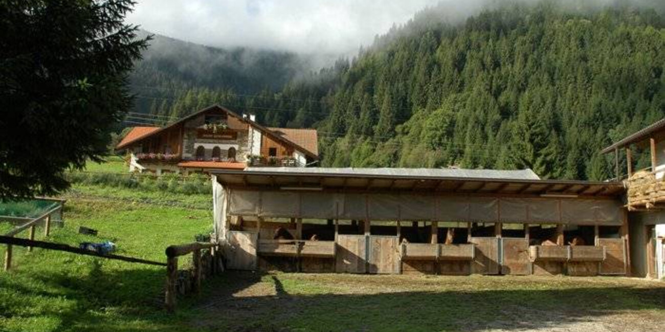 Maso Paradisi Equestrian Centre #1