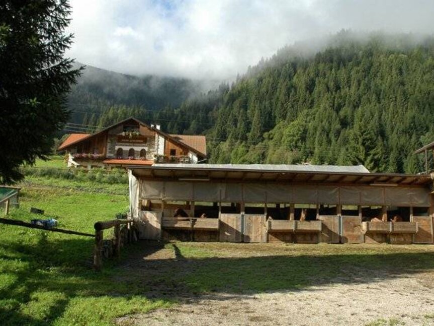 Maso Paradisi Equestrian Centre