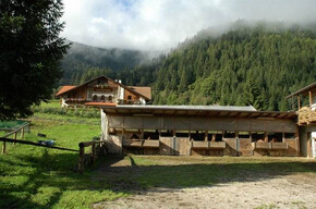 Maso Paradisi Equestrian Centre