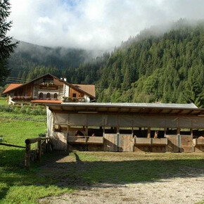 Maso Paradisi Equestrian Centre