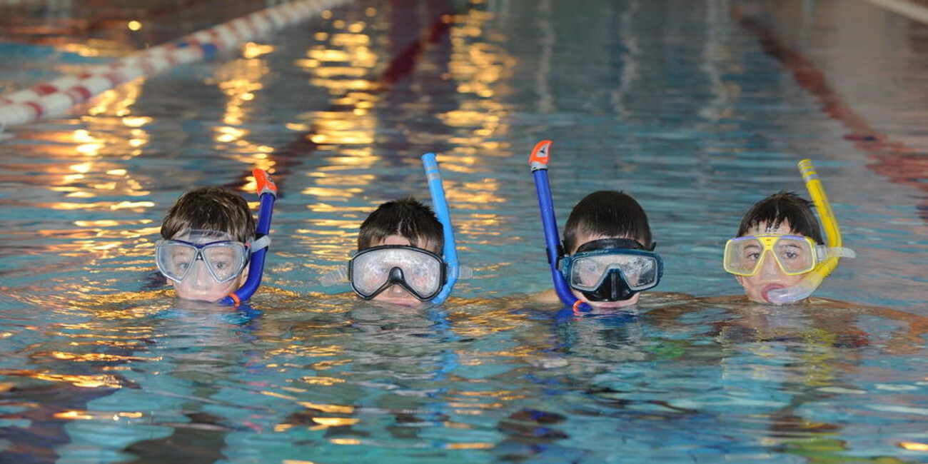 Swimming-pool in Val Rendena #1