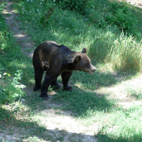 Parco Faunistico di Spormaggiore