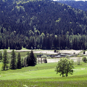 Biotopo di Ecken