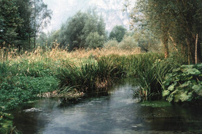 Fontanazzo Biotope