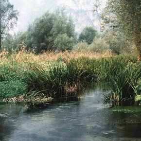 Fontanazzo Biotope