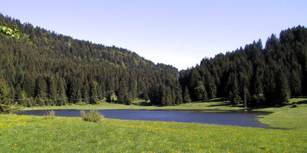 Malga Laghetto Biotope #1