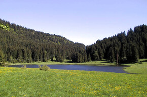 Malga Laghetto Biotope