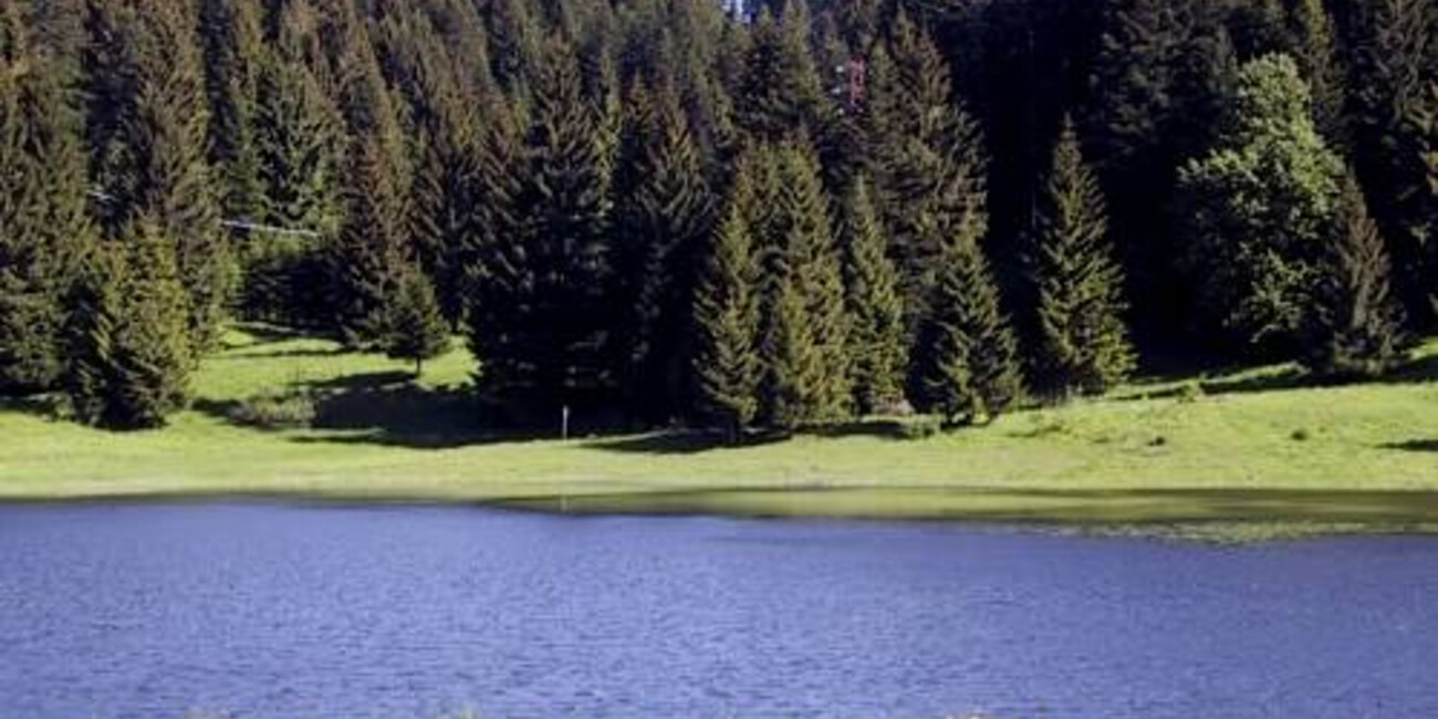 Biotop Malga Laghetto #2