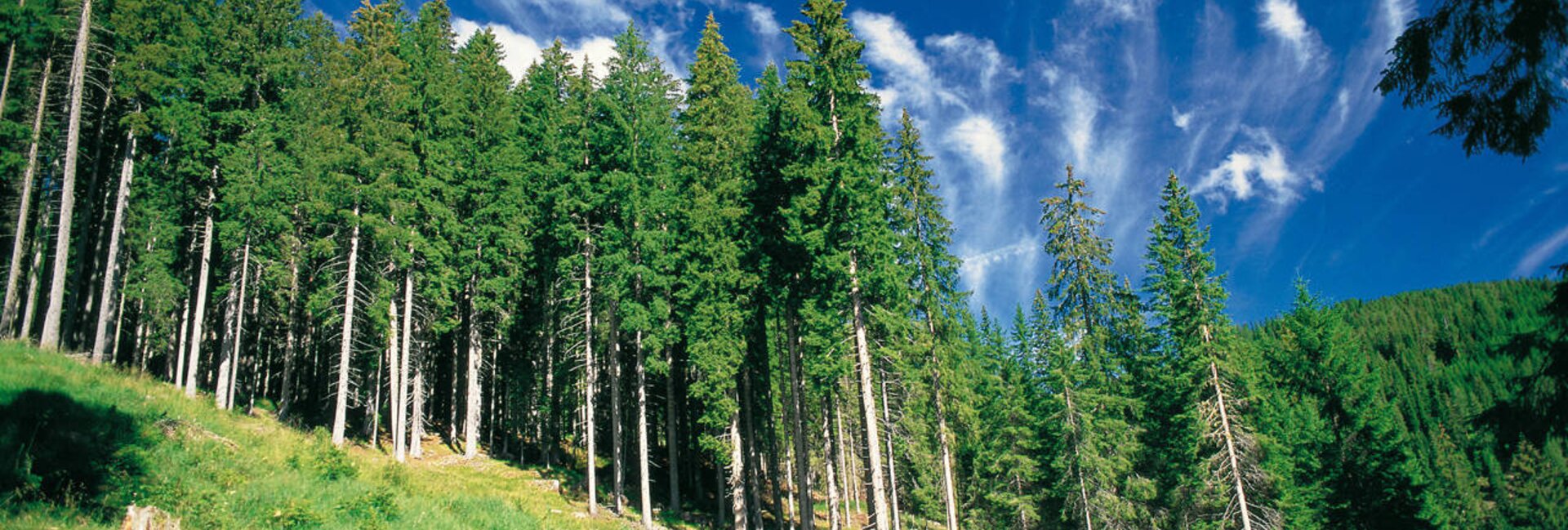 Luoghi naturali da visitare vicino alla Val di Fiemme