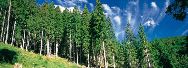 Luoghi naturali da visitare vicino alla Val di Fiemme