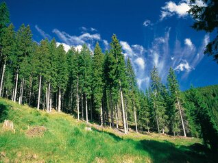 Luoghi naturali da visitare vicino alla Val di Fiemme