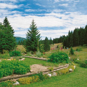 Giardino Botanico di Passo Coe 