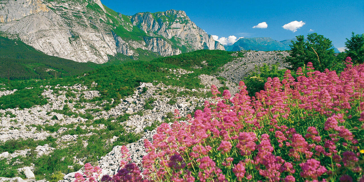 Natural wonders in Trentino to see with your children