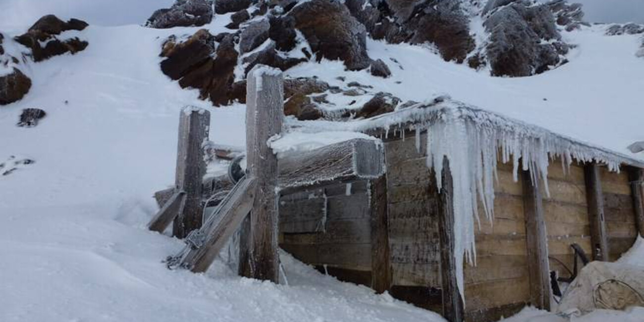 Punta Linke (3629 m a.s.l.)  Ortles-Cevedale – Pejo #4