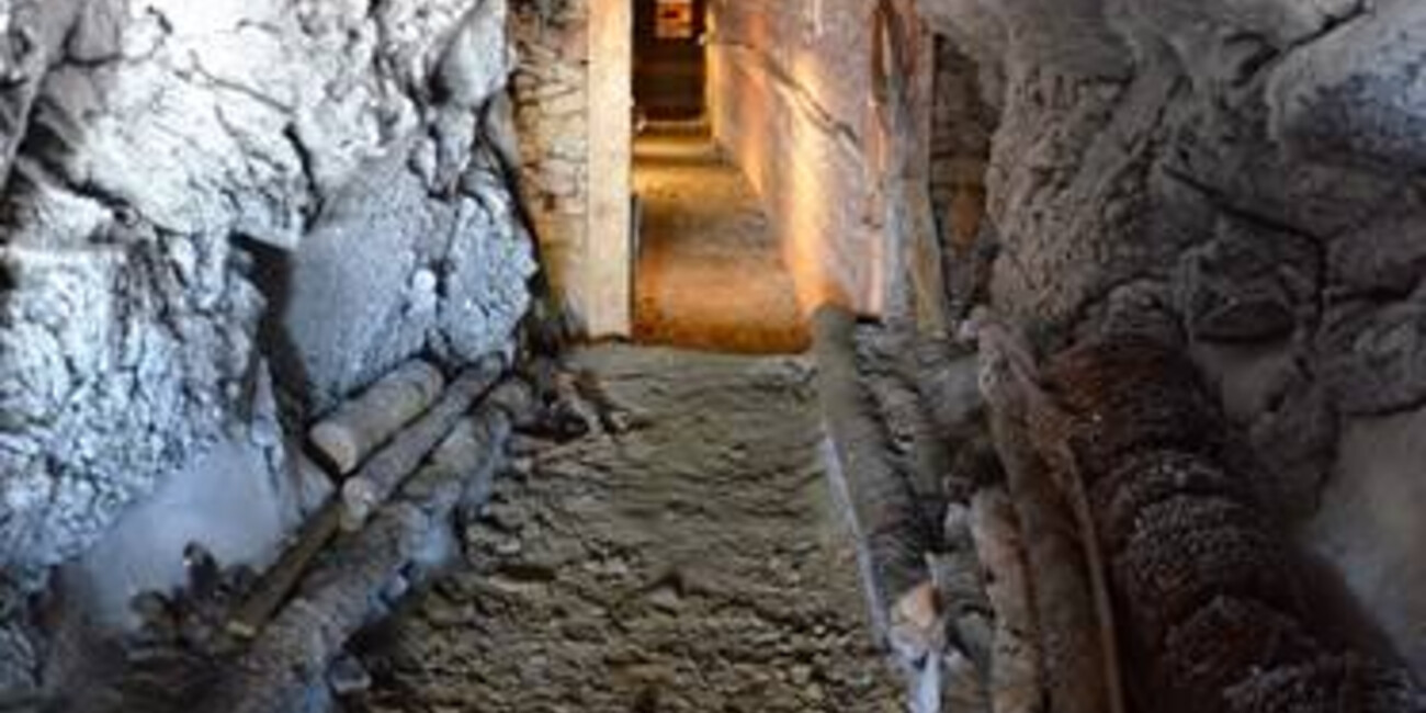 Punta Linke (3629 m a.s.l.)  Ortles-Cevedale – Pejo #6