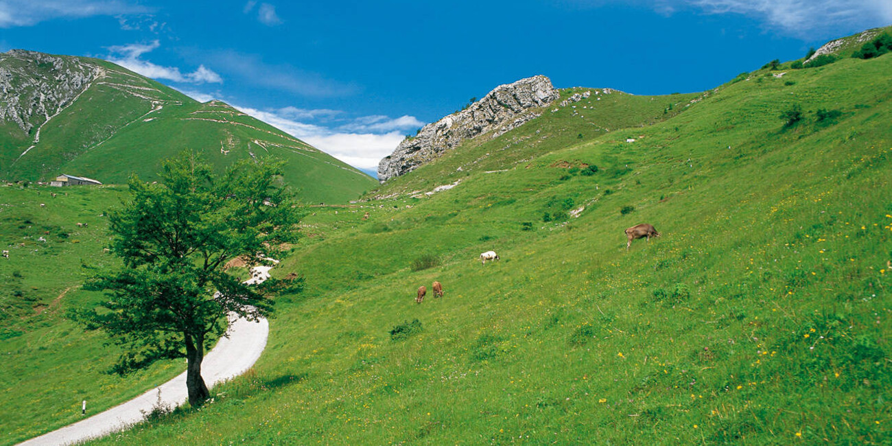 Riserve Bès Corna Piana  #2