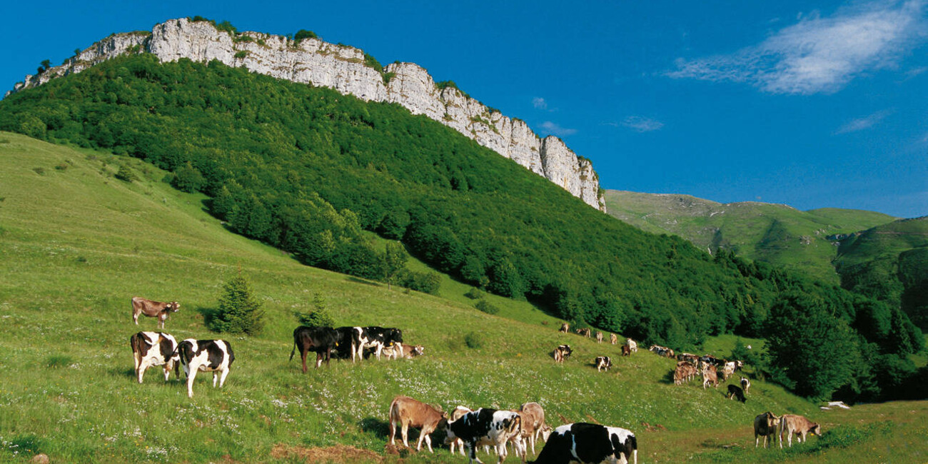 Riserve Bès Corna Piana  #3