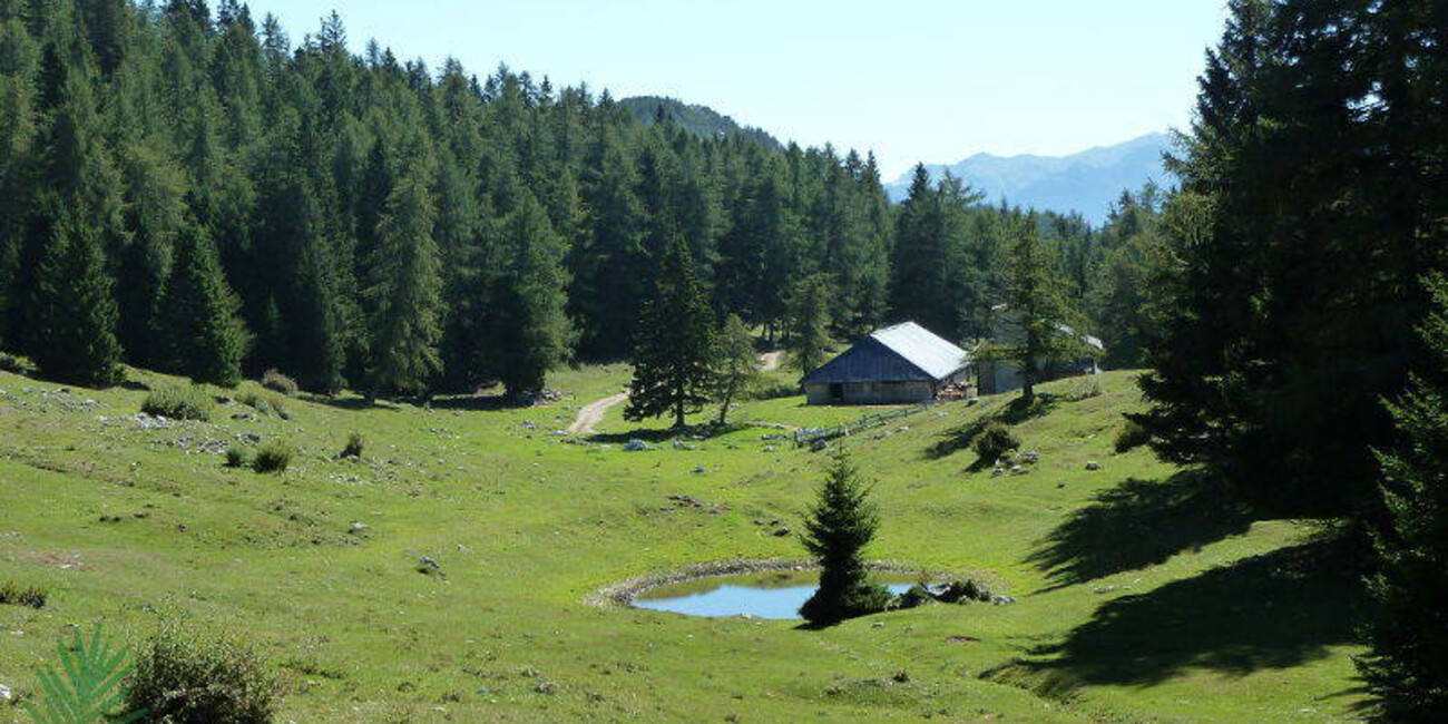 Riserva naturale della Scanuppia  #1