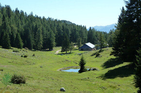 Riserva Naturale della Scanuppia 