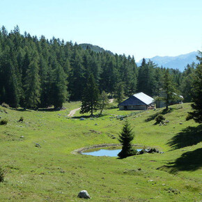 Riserva Naturale della Scanuppia 