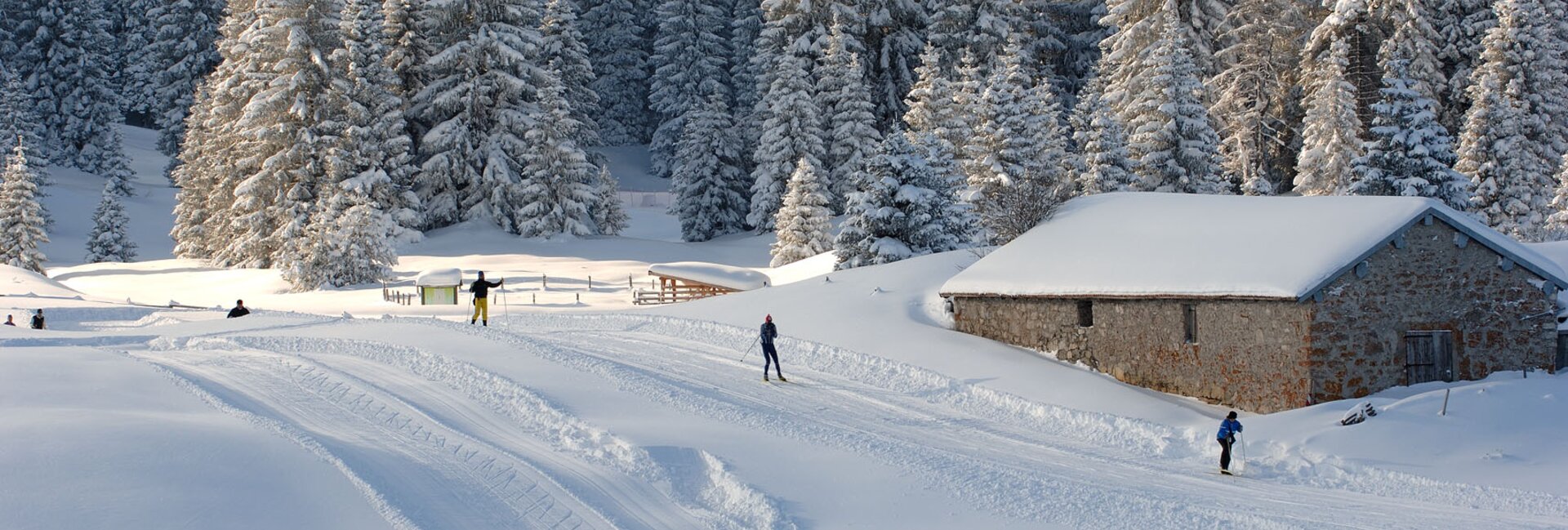 Folgaria - Passo Coe cross-country centre