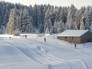 Folgaria - Passo Coe cross-country centre