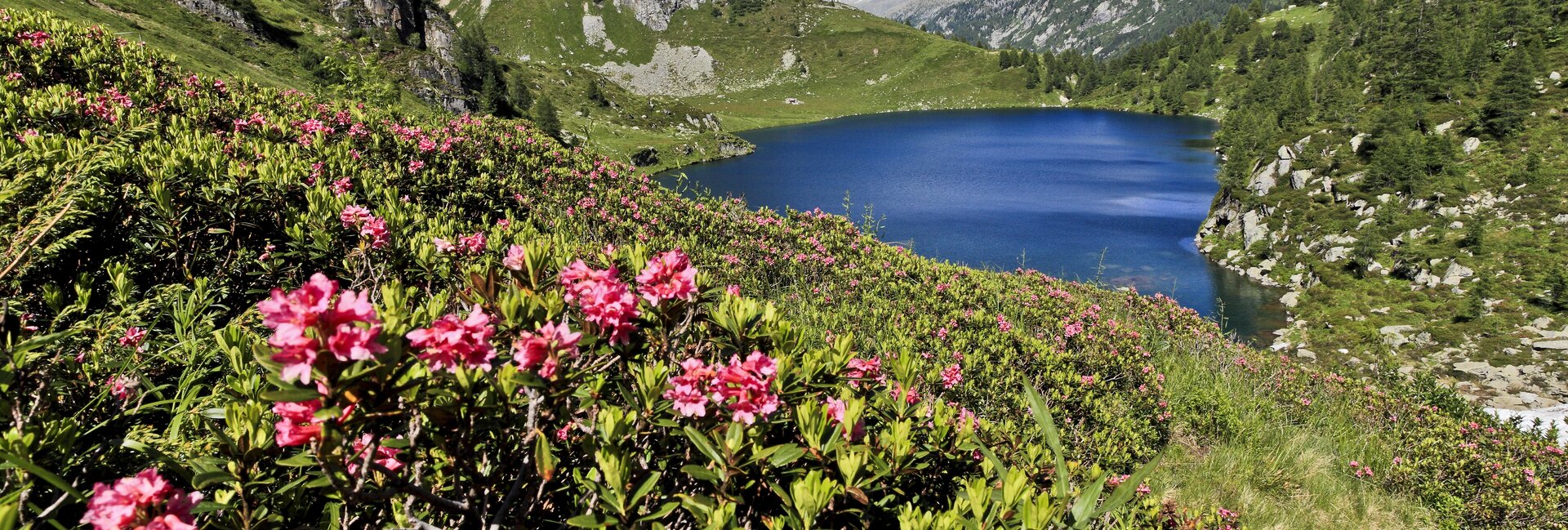 Adamello Brenta Nature Park