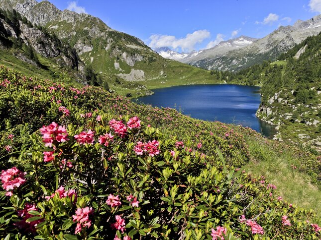 Adamello Brenta Nature Park