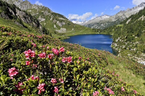 Natuurpark Adamello Brenta