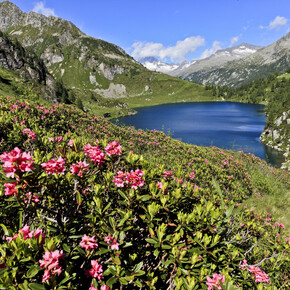 Natuurpark Adamello Brenta