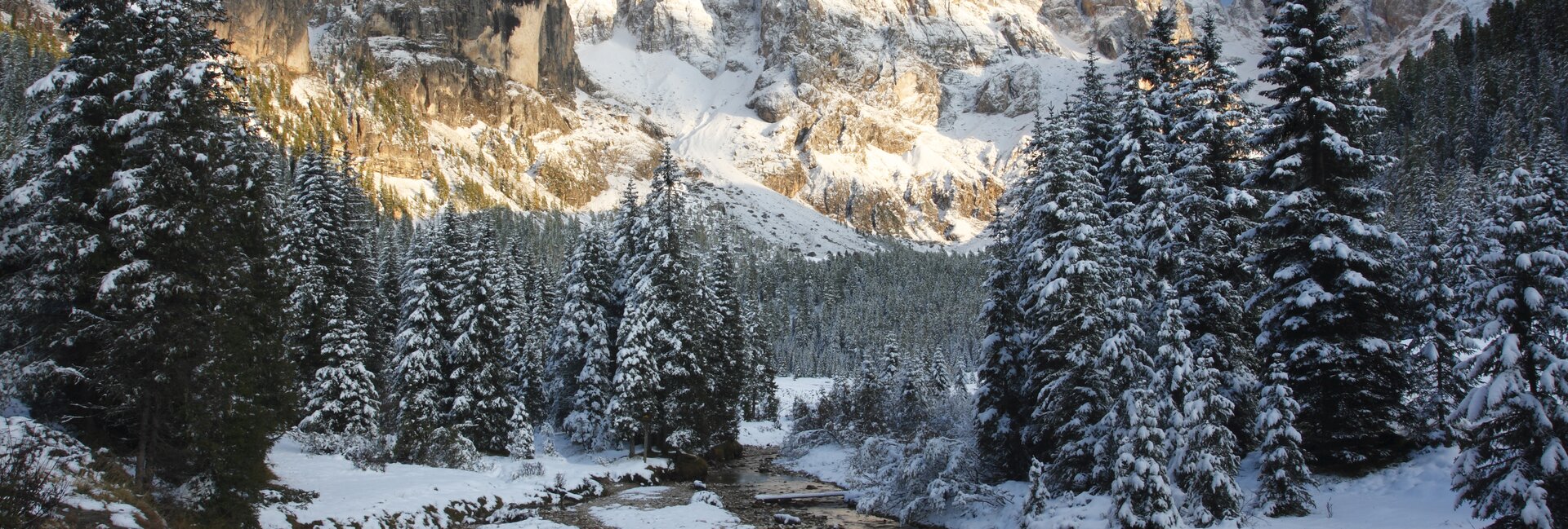 Paneveggio-Pale di San Martino Nature Park