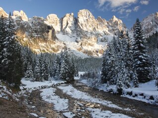 Paneveggio-Pale di San Martino Nature Park