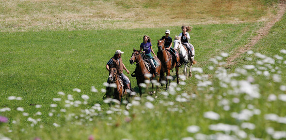 Altipiano di Folgaria, Lavarone e Luserna - Equitazione
