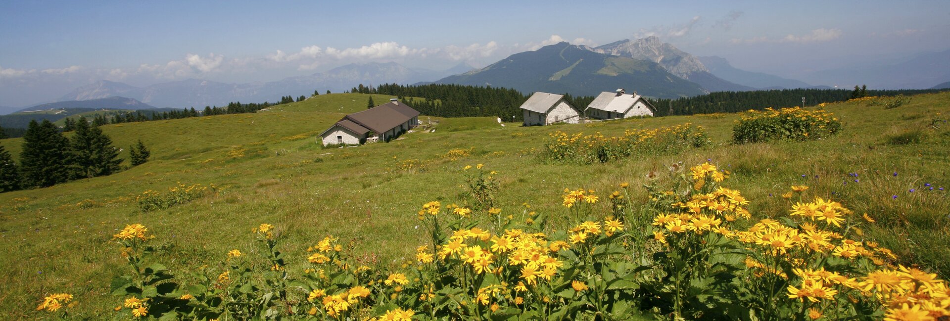 Folgaria for family - Folgaria things to do in summer - Hiking Malga Pioverna