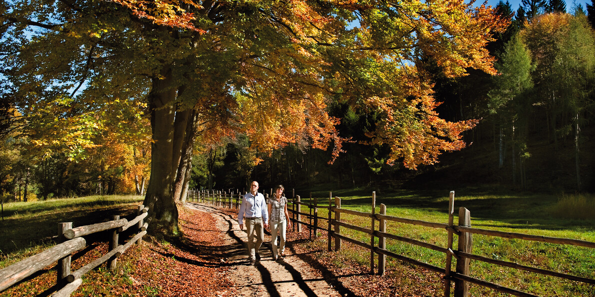 Färbe und Düfte der Natur - Herbst im Trenntino