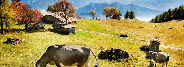 Shelters open in the fall